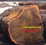 Sập gỗ|Sập gỗ Lim _SGL107