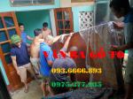 Sập gỗ| Sập gỗ Lim_SGL115