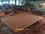 Sập gỗ| Sập gỗ Hương huyết_SGHH100