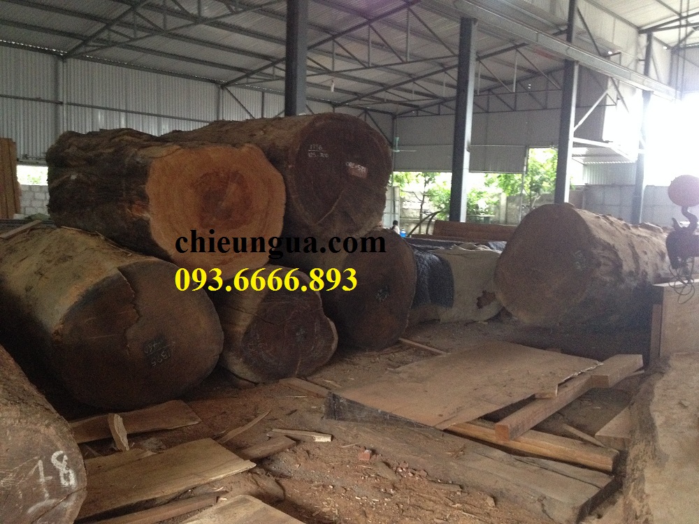 Chiếu ngựa gụ Lào