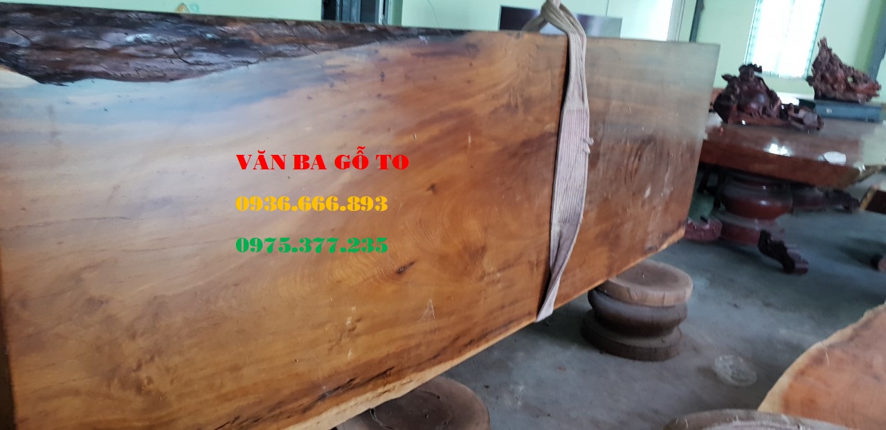 Mặt bàn gỗ dổi lào