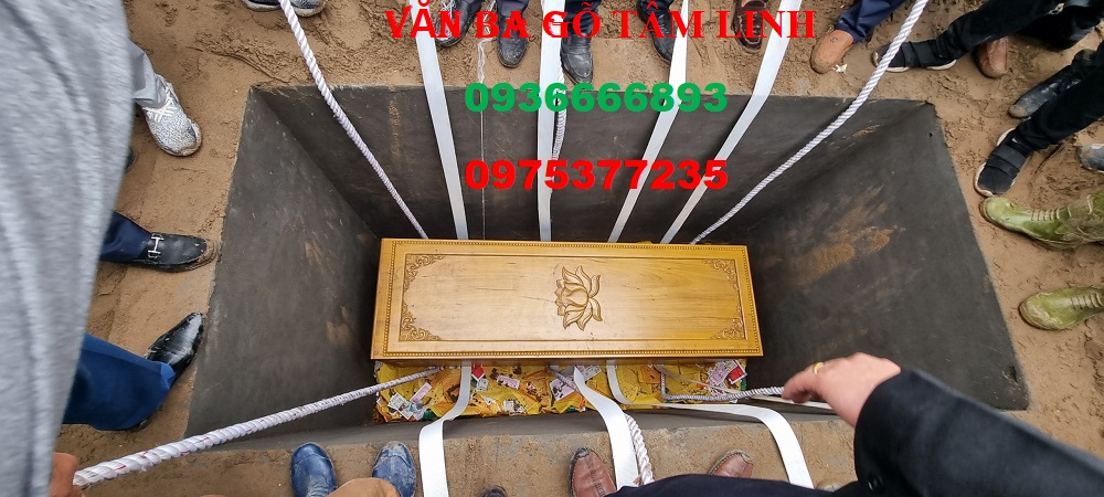 quan tài gỗ vàng tâm